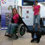 IMG_5244_upr