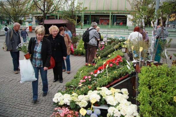 TZ 8 – Farmářské trhy na Praze 14 dvakrát v týdnu