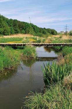 Suchý poldr - střed