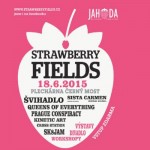 Strawberry fields 2015