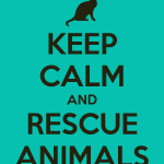 Rescue Animals II