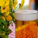 10. Kyjský pivní festival