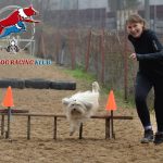 Závody cross people dog racing