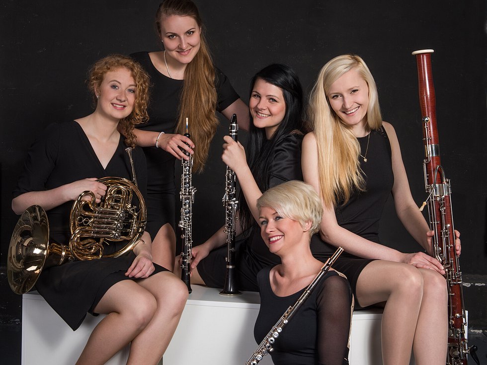 Koncert komorní hudby