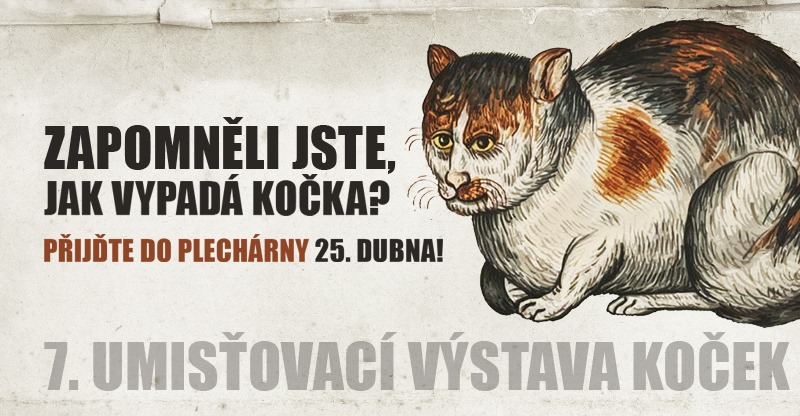 Umisťovací výstava koček