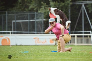 dogfrisbee