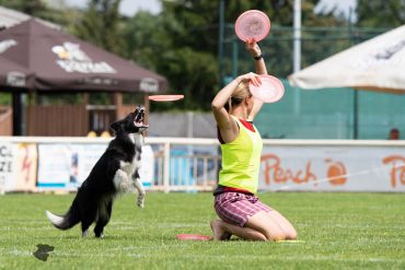 dogfrisbee