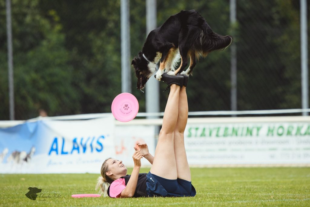 Závody Dogfrisbee