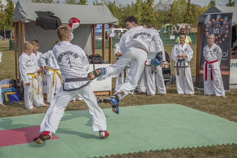 VOLNOFEST 2020