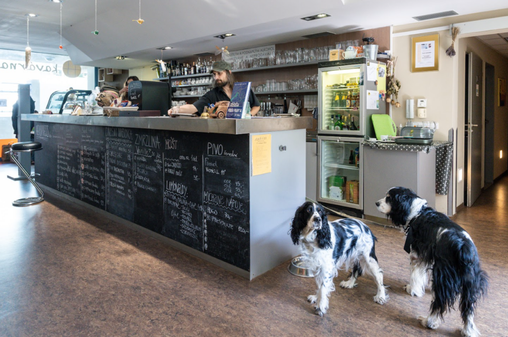 Setkání kultur v červnu roztančí Rajskou zahradu