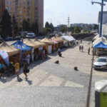 DenBezBarier_IMG_2436_TT