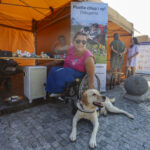DenBezBarier_IMG_2441_TT