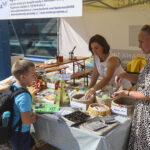 DenBezBarier_IMG_2612_TT