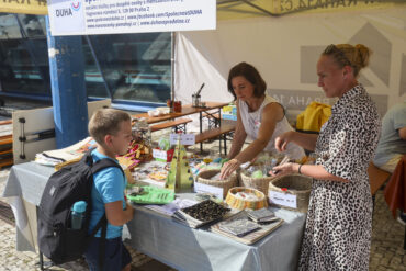 DenBezBarier_IMG_2612_TT