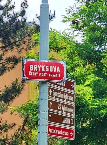 Bryksova ořez