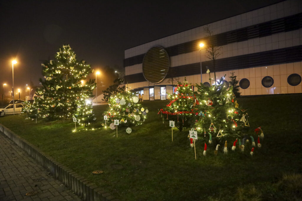 Slavnostní rozsvícení vánočního stromu na Rajské zahradě