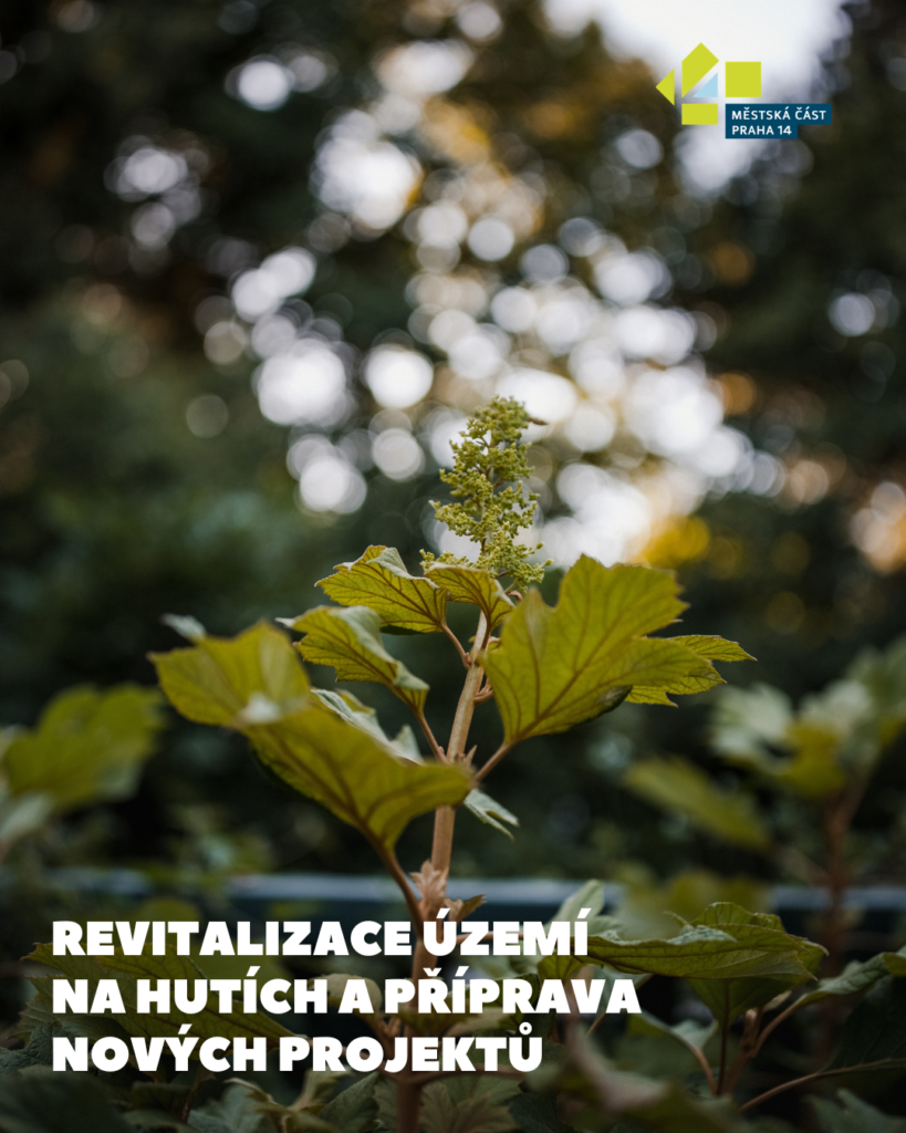 Revitalizace území na Hutích a příprava nových projektů
